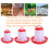 Chick Feeder Hanging Plastic Gravity-Fed Poultry Food Bucket 5