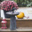 Halloween Resin Crow Bird Bath with Figurines 1 pc 5