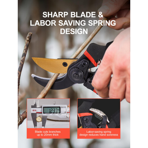 Professional Stainless Steel Garden Shears with Sharp Bypass Blades and LabourSaving Spring for Roses 2