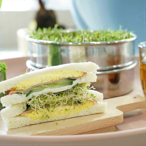 Stainless Steel Sprouting Kit with SpaceSaving Stackable Germination Trays for Gardeners 1