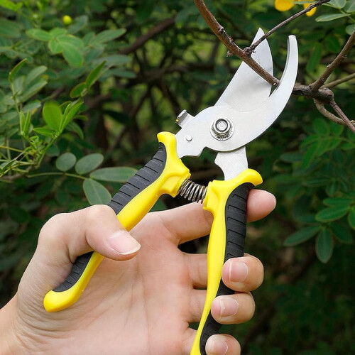 Buet havesaks kompatibel med skarpt rustfrit stålblad 1