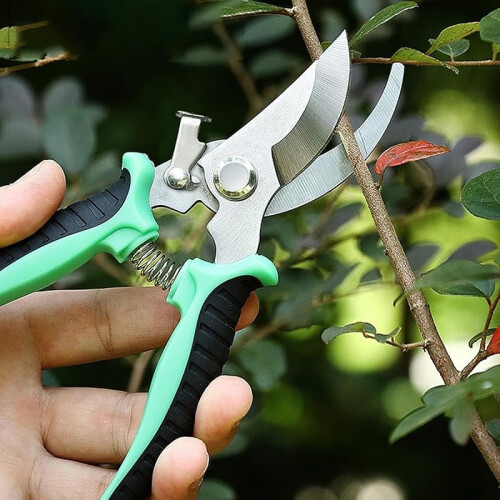 Buet havesaks kompatibel med skarpt rustfrit stålblad 2