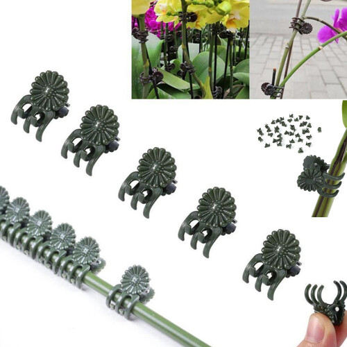 Orchid Clips Vertical Branch Stake 100-pack