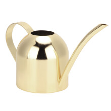 Elegant designvannkanne for inneplanter, vannkanne i rustfritt stål med lang tut (gull, 500 ml), presis vanning, slitesterk konstruksjon