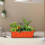 Rectangular Planter Box for Balcony and Garden, Brick Red Plastic Window Box with Dual Drainage System 5