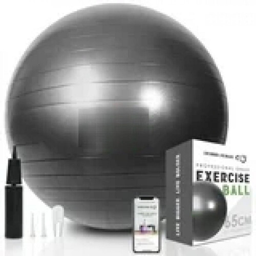 Fitness Ball Extra Thick Gray 55cm