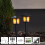 Solar-Fackel Flame mini 2er-Set 3