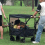 Removable Awning Canopy for 8-Inch Trolley Cart Blue 6