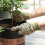 Gartenhandschuhe mit PVC-Perlen zum Schutz der Hände 4