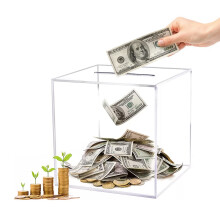 Clear Piggy Bank for Adults 4.7 Inch Acrylic Money Box, Unopenable Break to Open Savings Jar
