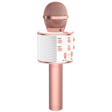 Wireless Karaoke Microphone with Bluetooth Connection, Rose Gold Singing Mic Gift for Kids and Adults