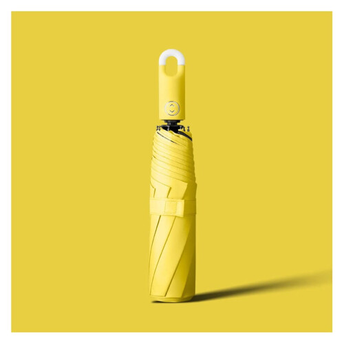 Compact Travel Umbrella Auto Open Close Windproof Foldable Design for Rain and Sun (B)