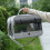 Ergonomic uncontrolled Pet Owners For Finches Offering-Black 5