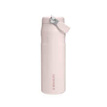 Stanley 1913 Flip Straw Sports Water Bottle with Straw 07L 10 Hours Cold