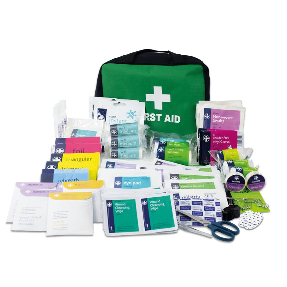 Lewis-Plast First Aid Kit Bag 309 Piece Survival Kits Safety Essentials Fo
