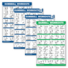 Palace Learning 4 Pack - Dumbbell Workout Posters Volume 1, 2 & 3 + Barbell Exercise Chart - Set of 4 Posters (LAMINATED, 18" x 24")