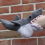 (Shark)Κάλτσες με σχέδιο ψαριού καρχαρία πλεκτό λάστιχο Νεωτεριστικό χειμ 5