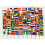 100Pcs Multicolor International Flag Toothpicks-Argentina 4