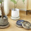 Washranp Plant Caddy Round Plastic Rolling Stand with 4 7