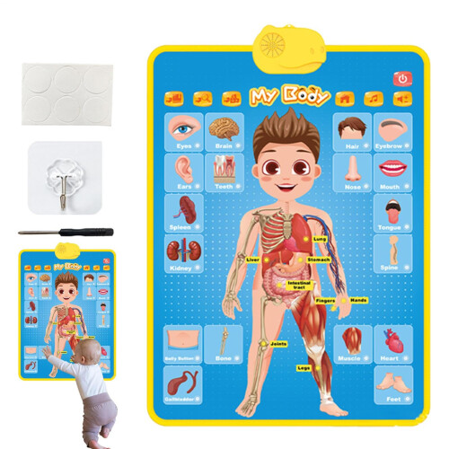 Interactive Alphabet Wall Chart with TouchSensitive Learning and Clear Adjustable Audio for Kids