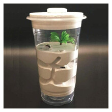 Acrylic Ant Farm Castle with Natural Gypsum Nest, Clear Habitat for Kids and Adults Study