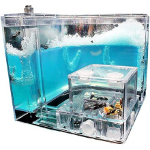 Transparent Ant Farm Habitat for Kids and Adults, Educational STEM Terrarium with Easy Maintenance