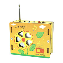 STEM Electronics Kit with Clear Audio Reception, Build Your Own Radio DIY Set for Students and Teachers