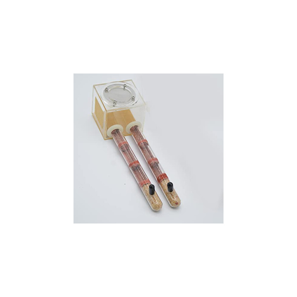 Acrylic Test Tube Ant Farm With Clear Observation Design, Compact Ant Nest For Beginners, Purple 9351714749879