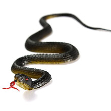 Halloween Rubber Snake Prop – Realistic Black Flexible Fake Snake for Pranks and Halloween Decoration