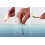 Lifesystems Stormproof, Waterproof And Windproof Matches 5