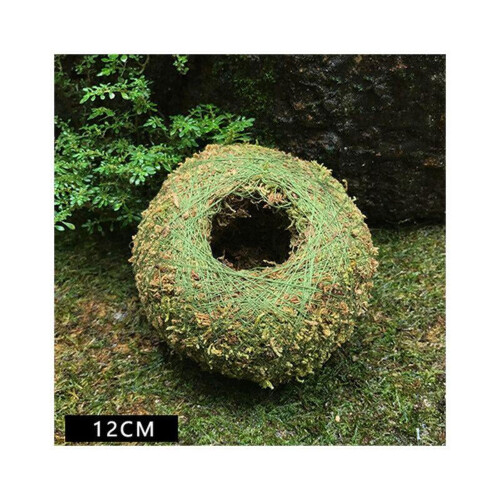 Moss Ball Pot Natural Bonsai Container 1 pc