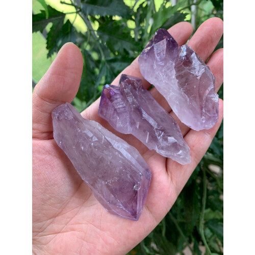 Große, rohe Amethystspitzen, 1,75 - 2,5 Zoll