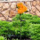 Solar Chrysanthemum Garden Stake Light, 75 cm, Stainless 3