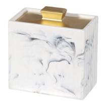 Distributeur de coton-tige et cure-dents, boîte de-Style L
