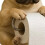 Adorable résine de support de mouchoirs d'inspiration canine-7 6