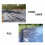PE-Teichfolie Schwarz 5mil 6x5m 5
