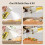 Double Function Oil Sprayer Bottle 550ml Leak Proof Design with 6