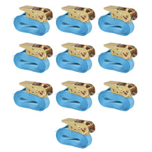Berkfield Ratchet Tie Down Straps 10 pcs 0.8 Tonnes 4mx25mm Blue