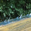 Berkfield Wall Spikes 25 pcs Steel 1 m 1
