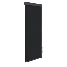 Berkfield Outdoor Roller Blind 60x250 cm Anthracite