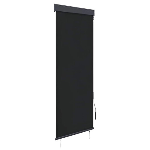 Berkfield Outdoor Roller Blind 60x250 cm Anthracite