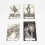 Tarot Cards Full English Version, Versatile Divination Deck for Beginners 3