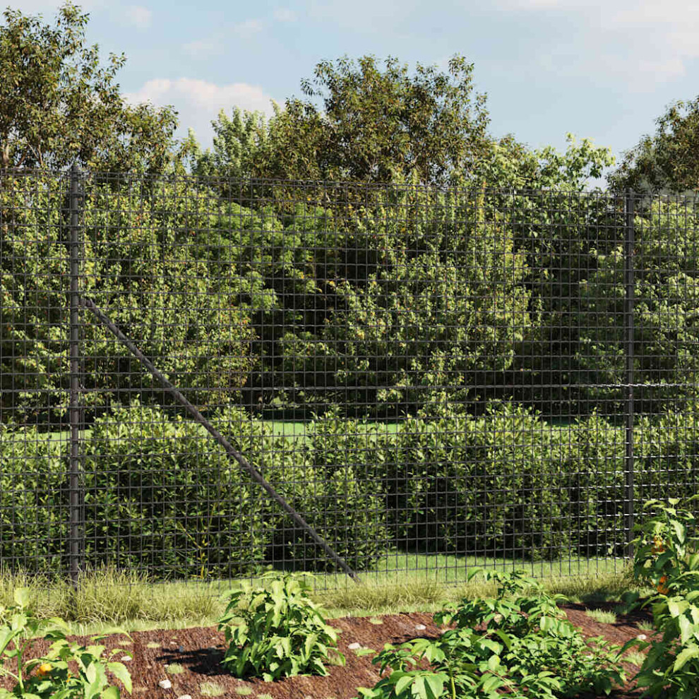 Berkfield Wire Mesh Fence With Spike Anchors Anthracite 1.4X10 M 1363442229828