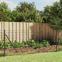 Berkfield Wire Mesh Fence with Spike Anchors Anthracite 0.8x10 m