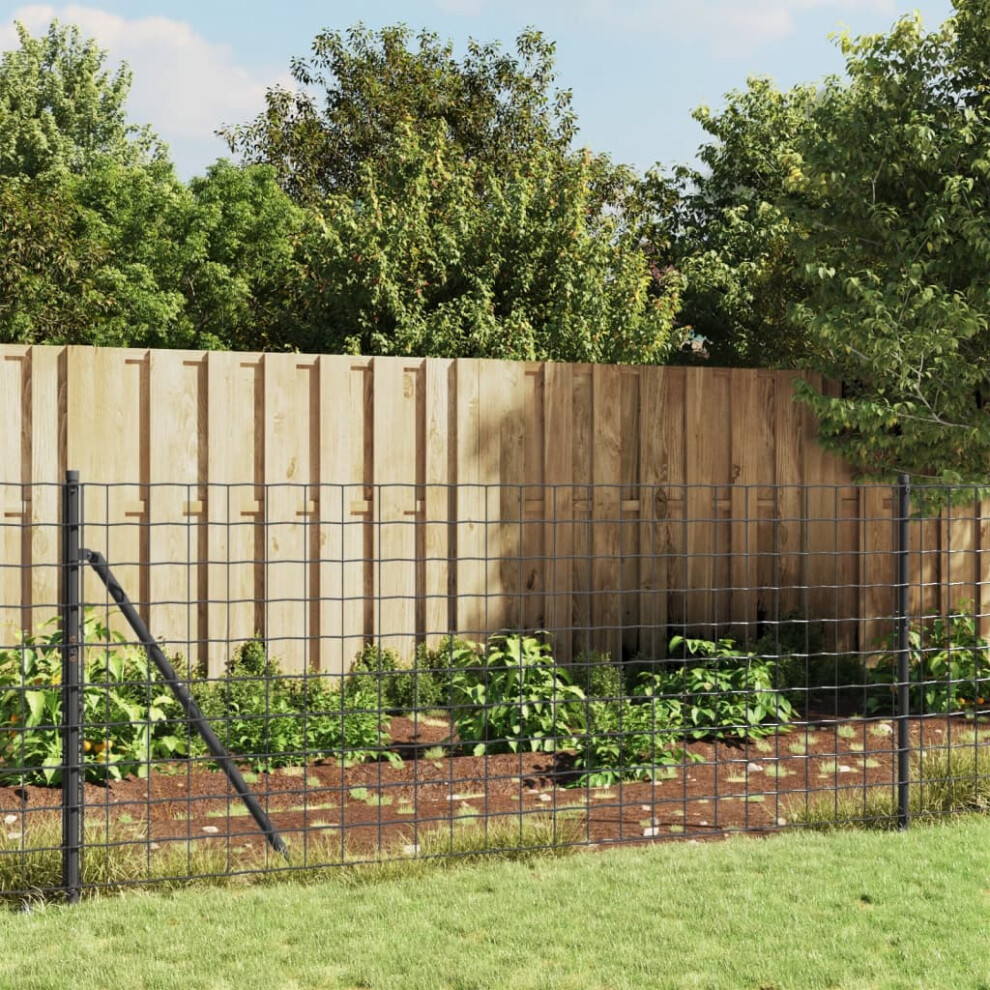 Berkfield Wire Mesh Fence With Spike Anchors Anthracite 0.8X10 M 3762131175404