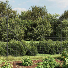 Berkfield Wire Mesh Fence Anthracite 2.2x25 m Galvanised Steel