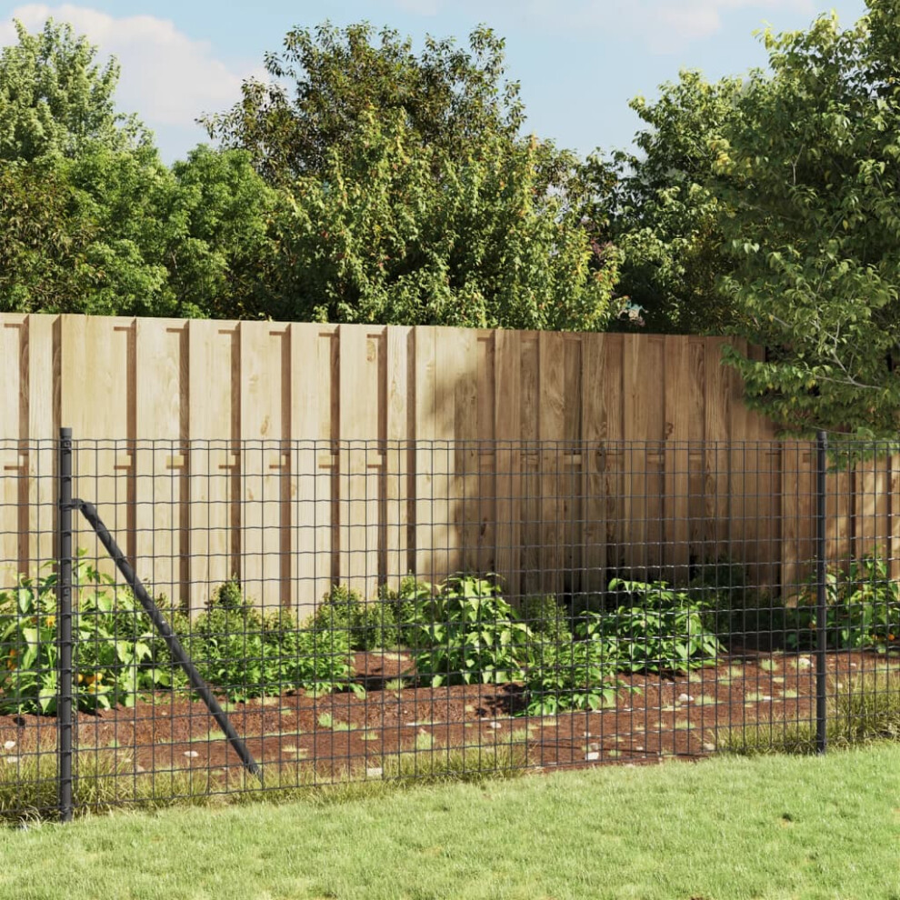 Berkfield Wire Mesh Fence With Spike Anchors Anthracite 1.1X10 M 8591915881638