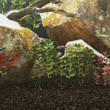 Berkfield Aquarium Sand 25 kg Black 0.2-2 mm