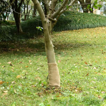 Berkfield Jute Roll 0.25x15 m 100% Jute 200 gsm