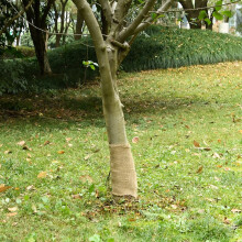 Berkfield Jute Roll 0.25x25 m 100% Jute 200 gsm